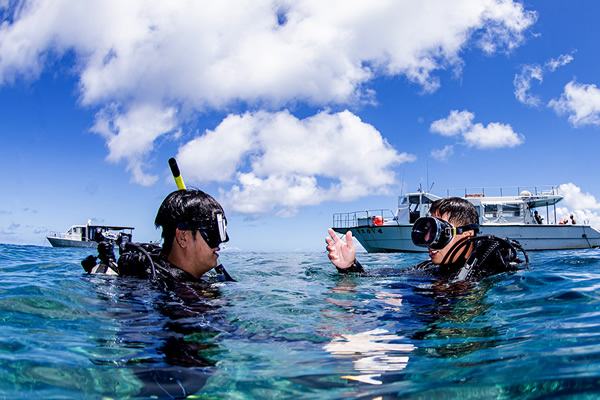 沼津 ダイビングライセンス講習